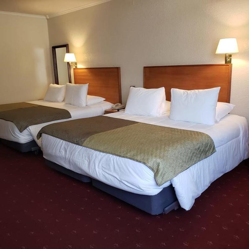 Hotel Gavina Express אריקה מראה חיצוני תמונה